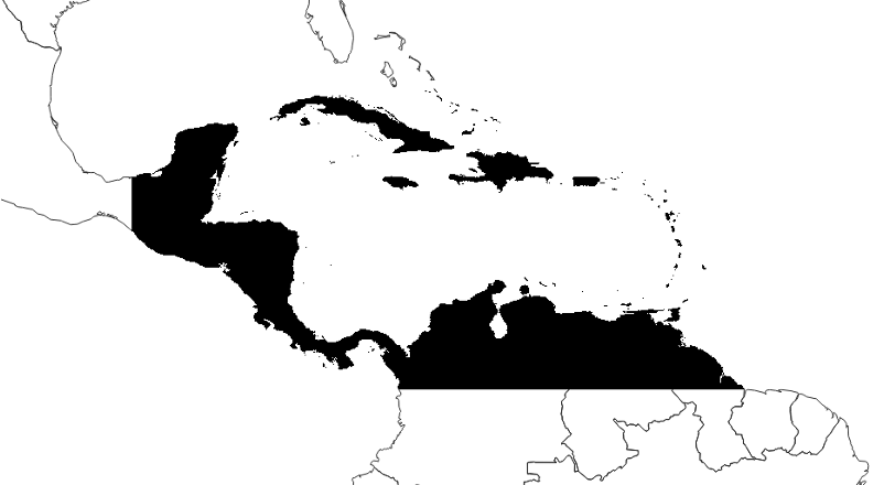 Map of Central America and northern South America with most areas in white. Masked areas are black.